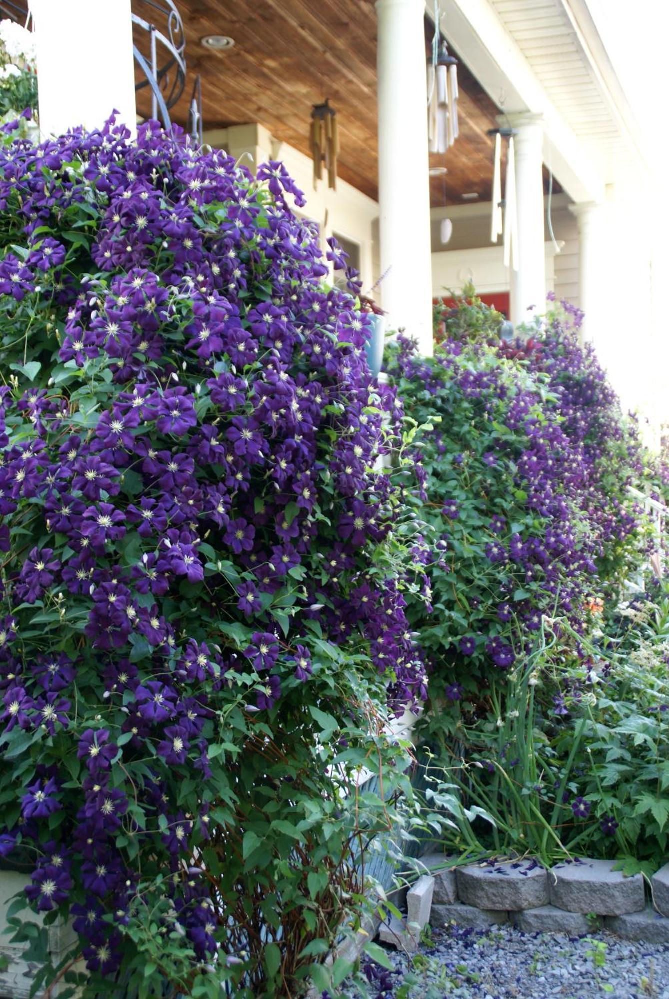 Globetrotters B&B Niagara-on-the-Lake Екстер'єр фото